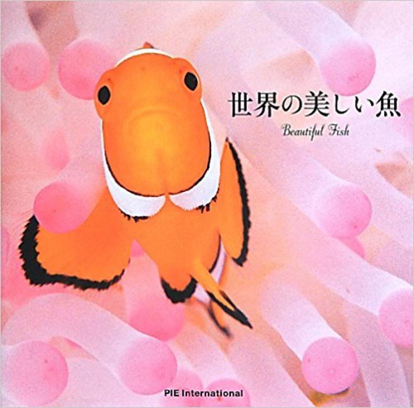世界の美しい魚
