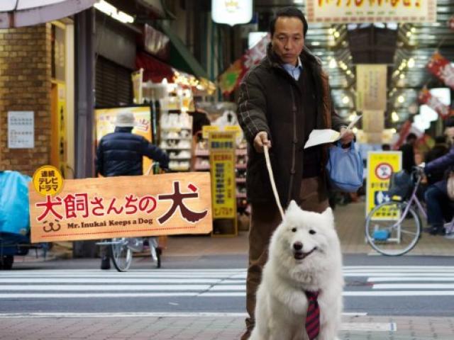 即日発送・新品 handmade movie 犬猫(´00オンナコドモフ…/出演: 矢口史 