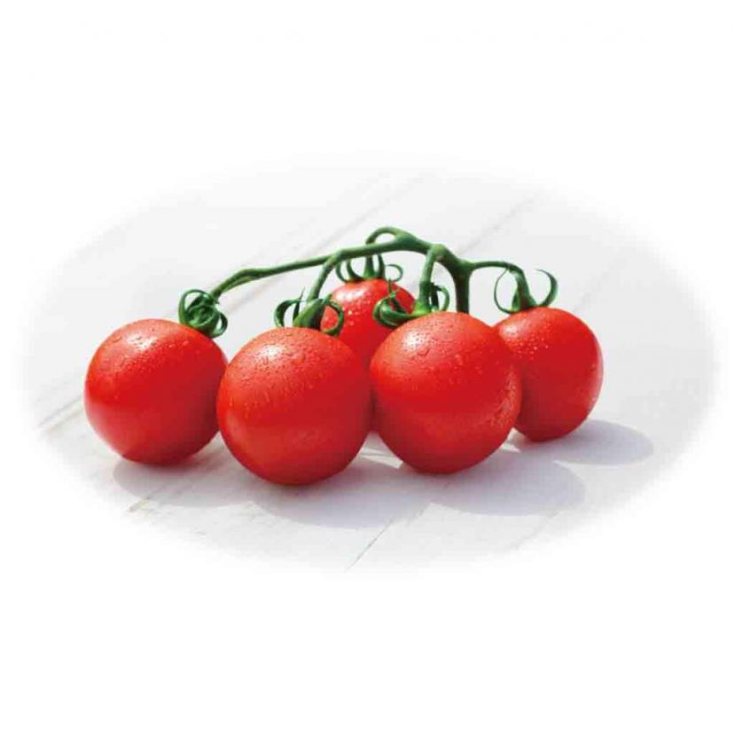 『トマト』