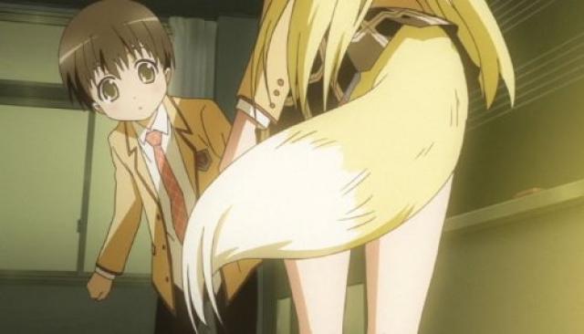 かのこん