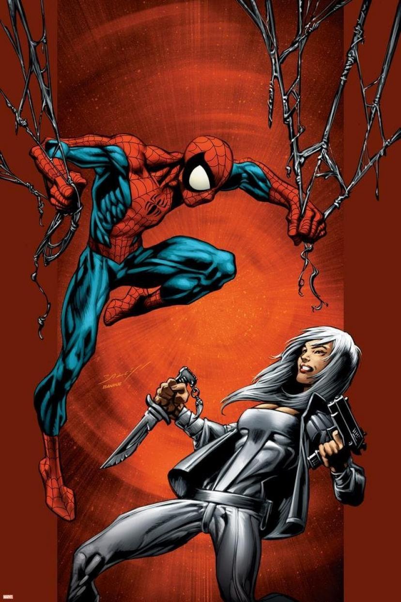 スパイダーマンとシルバー・セーブル