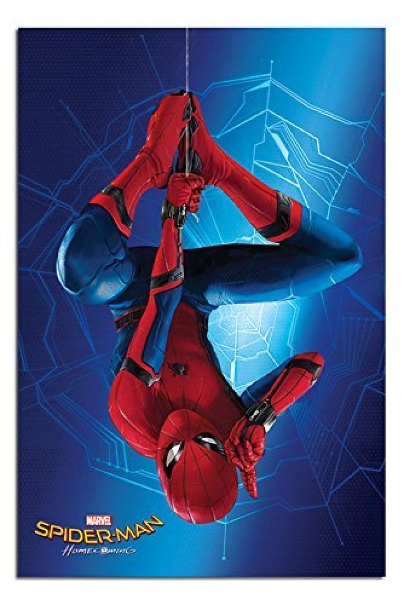 『スパイダーマン:ホームカミング』