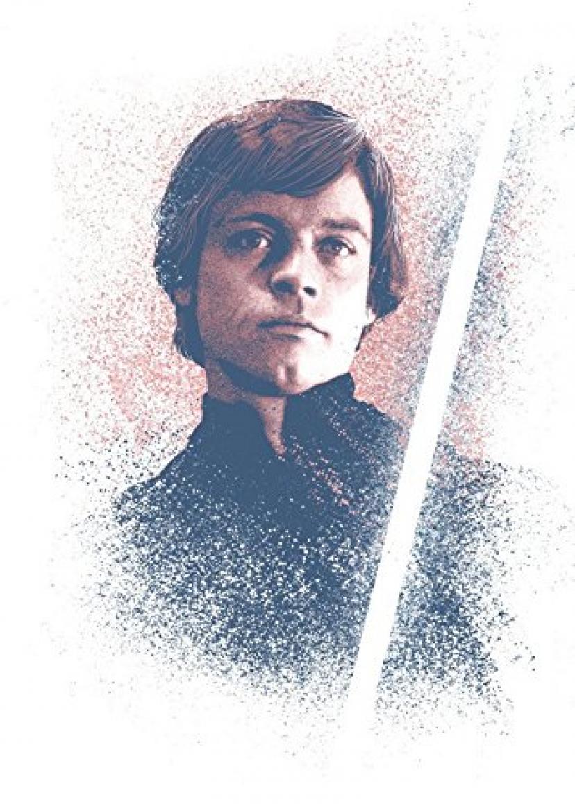 STAR WARSメタルポスターSuccessorsコレクションLuke Skywalker 32 x 45 cmポスターWallScrolls