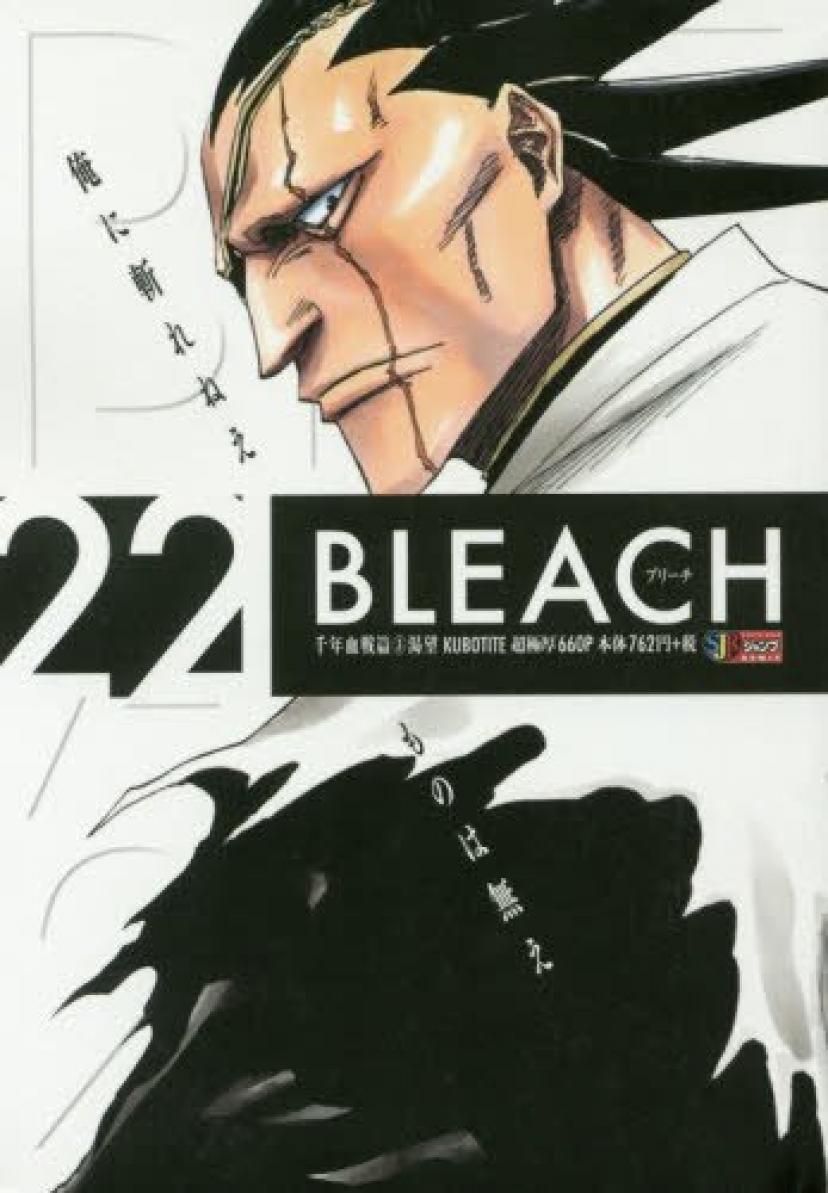 剣八 BLEACH