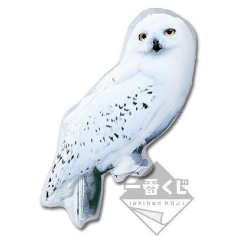 ヘドウィグ