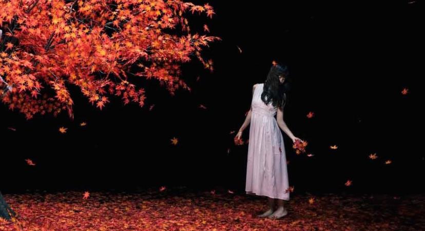 茜さす/everlasting snow(初回生産限定盤A)(DVD付) Single, CD+DVD, Limited Edition