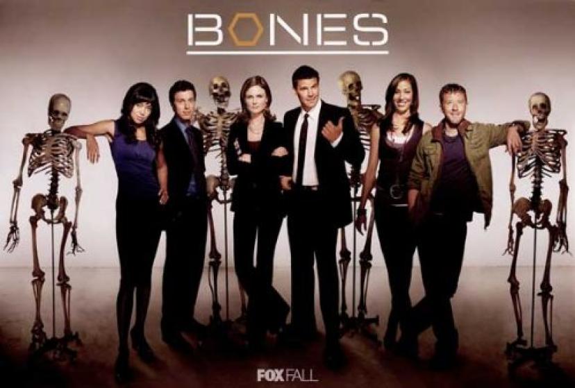 海外ドラマ Bones ボーンズ 骨は語る について知っておきたい12のこと Ciatr シアター