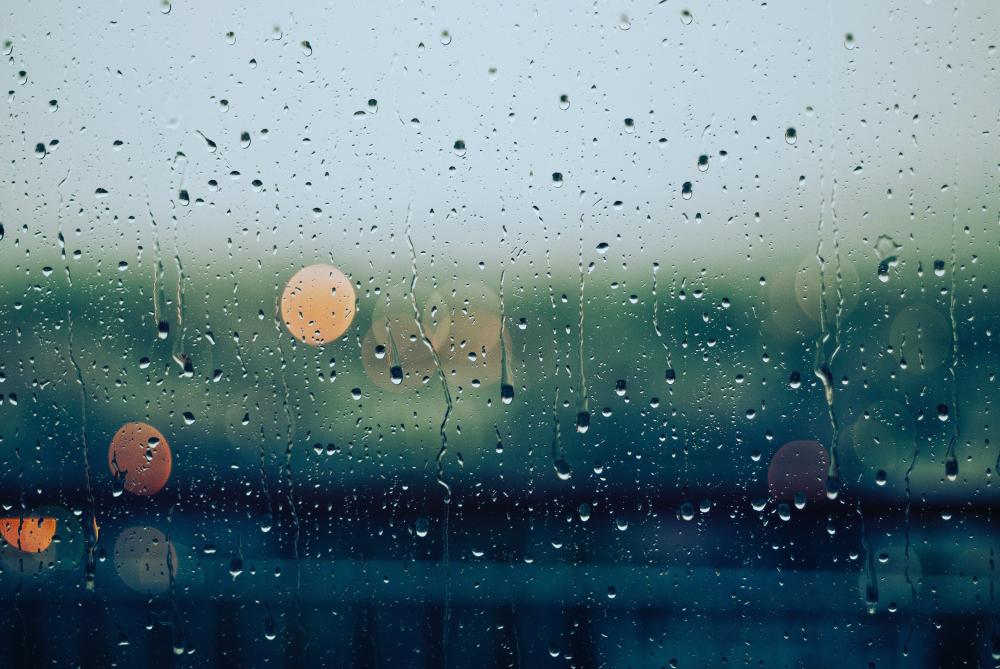 雨 窓ガラス フリー画像