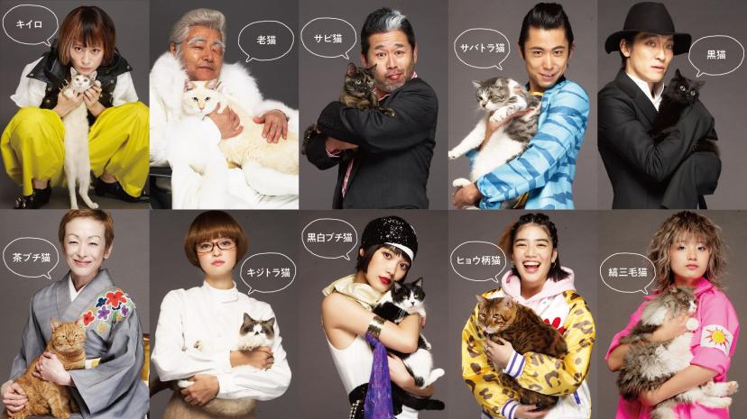 映画 猫は抱くもの あらすじ キャスト 沢尻エリカ6年ぶりの主演 監督は犬童一心 Ciatr シアター