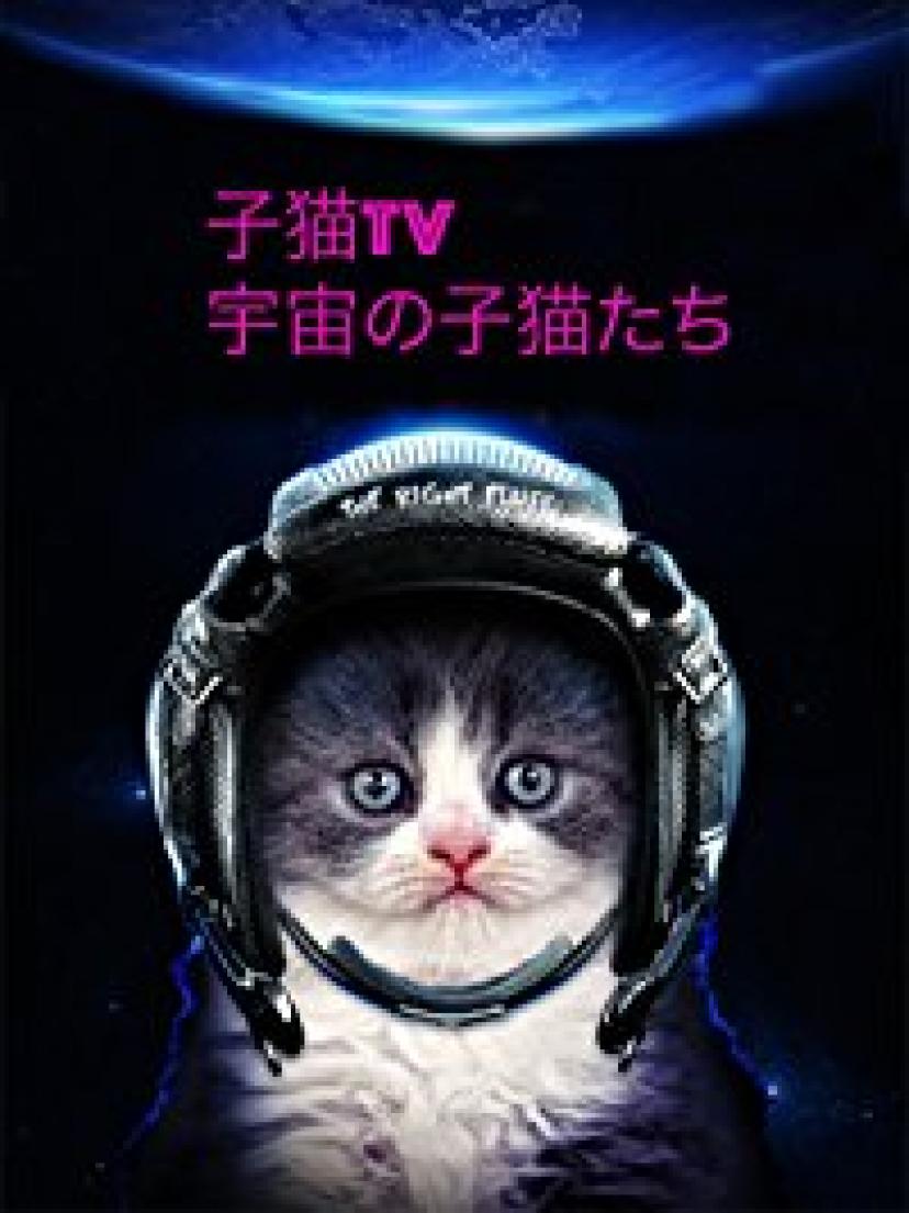 癒し系異色sf 宇宙の子猫たち がやばすぎる Amazonプライム会員ならタダ Ciatr シアター