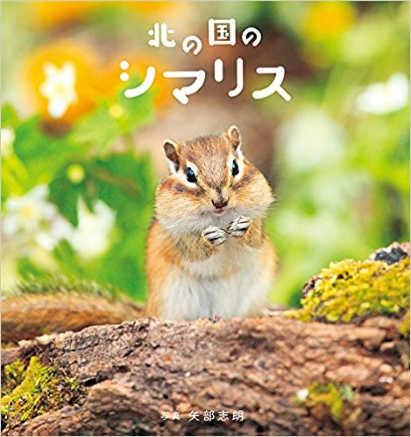 シマリス
