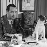 カンヌを受賞した犬たち！「パルム・ドッグ賞」って知ってる？
