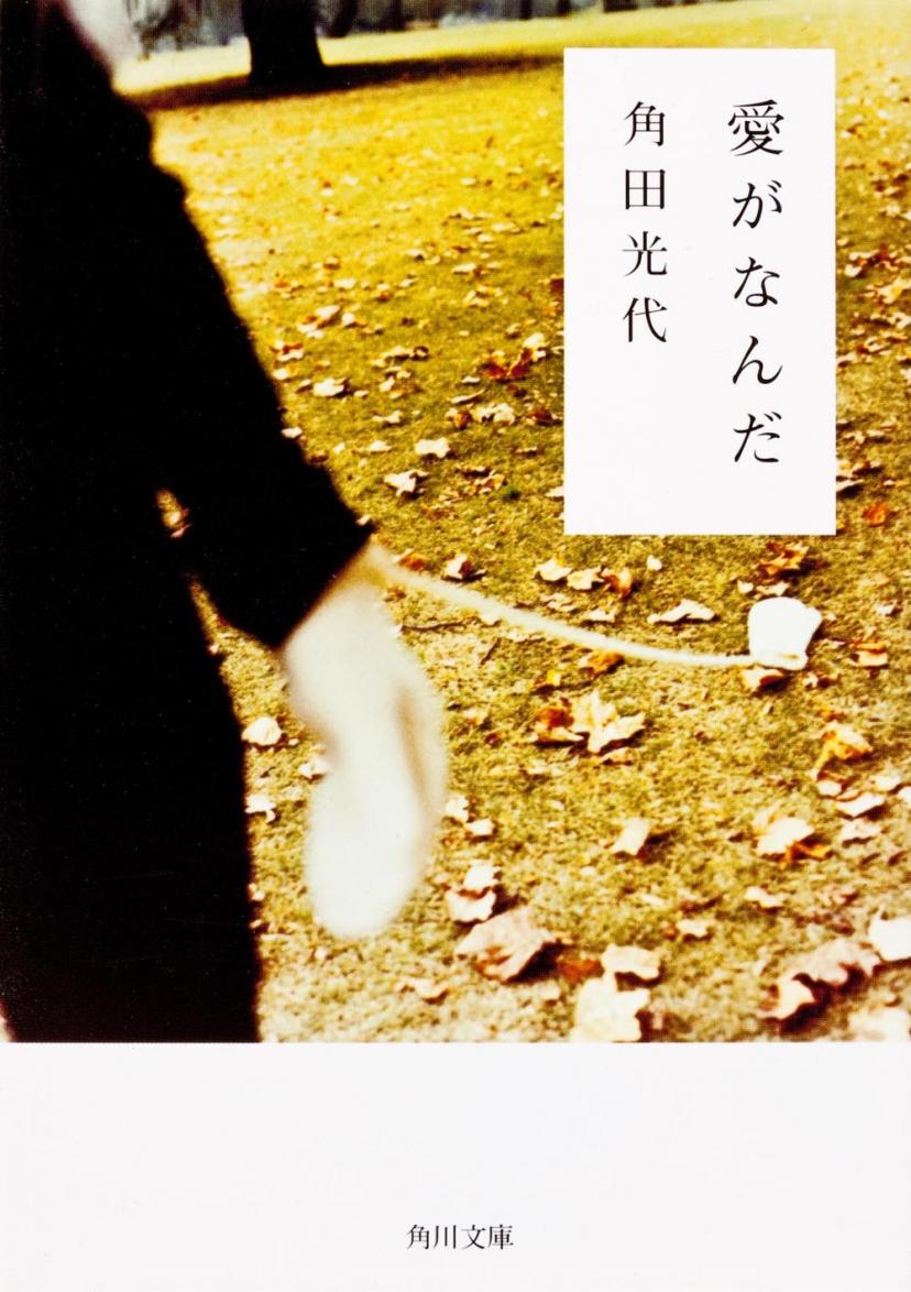 愛がなんだ