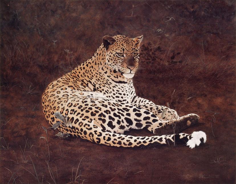 ヒョウ