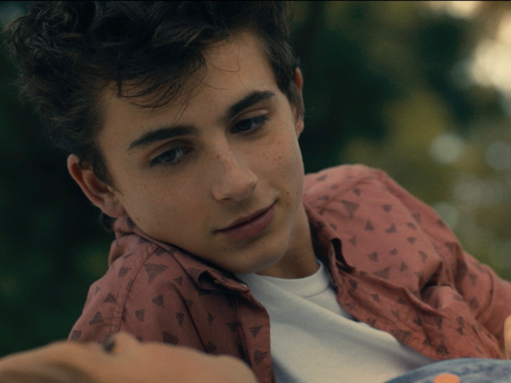 HOT SUMMER NIGHTS／ホット・サマー・ナイツ,ティモシー・シャラメ