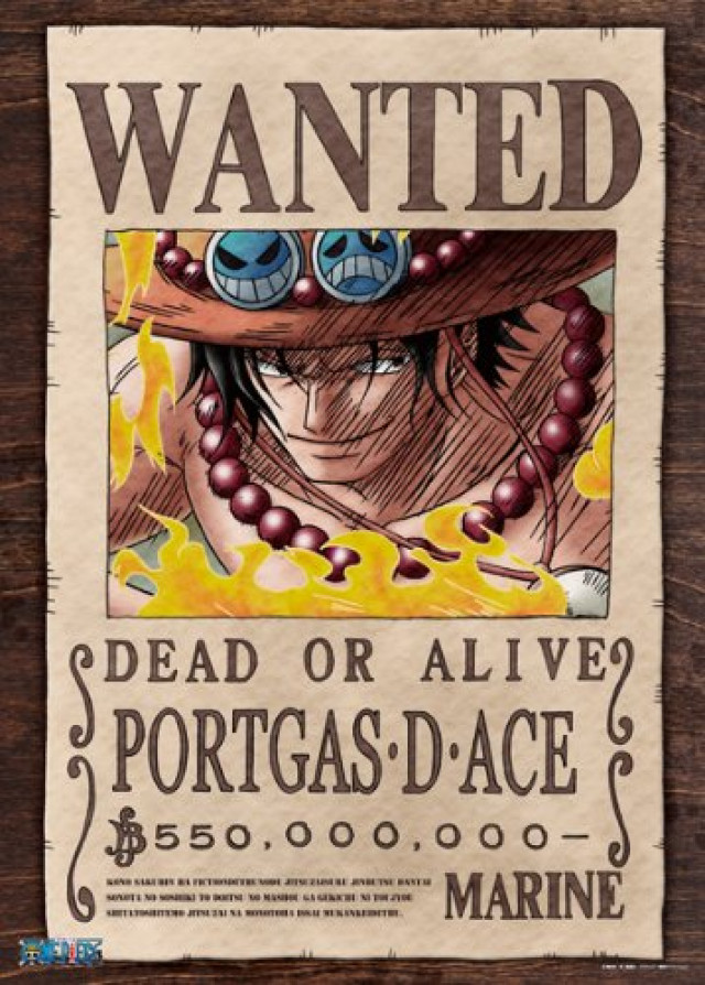 ONE PIECE ワンピース エース