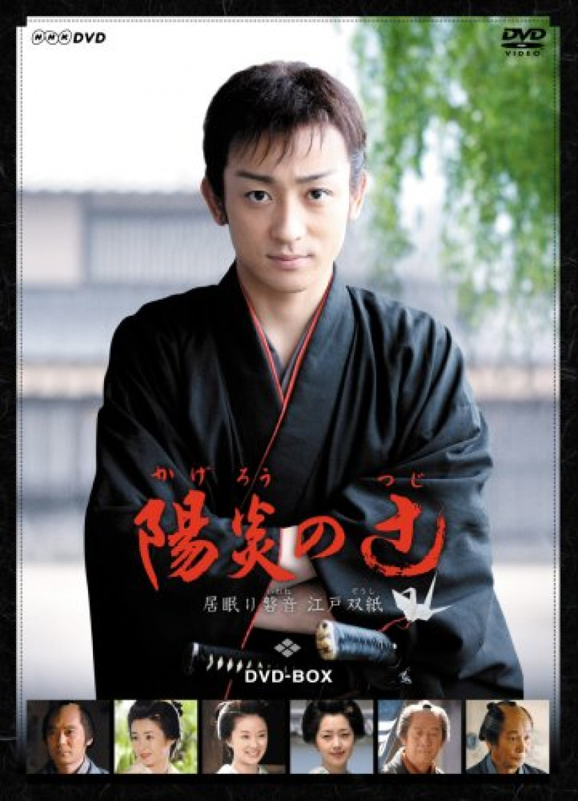 陽炎の辻 ~居眠り磐音 江戸双紙~ DVD-BOX