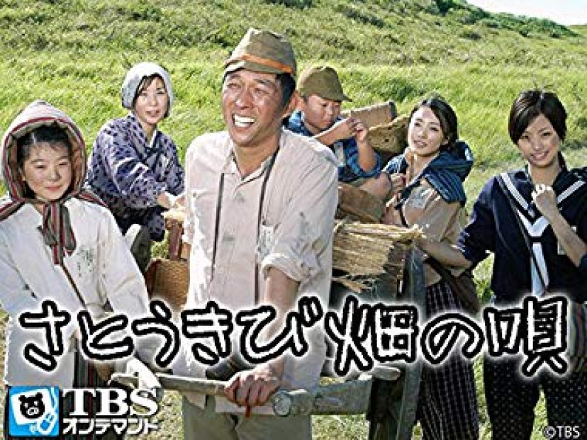 さとうきび畑の唄