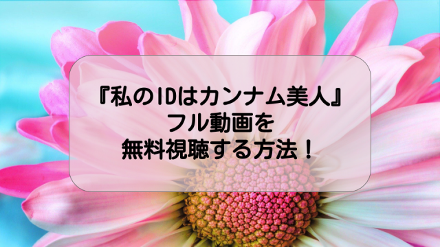 私のidはカンナム美人 のフル動画を無料視聴する方法は 1話から最終回までを日本語字幕で Ciatr シアター