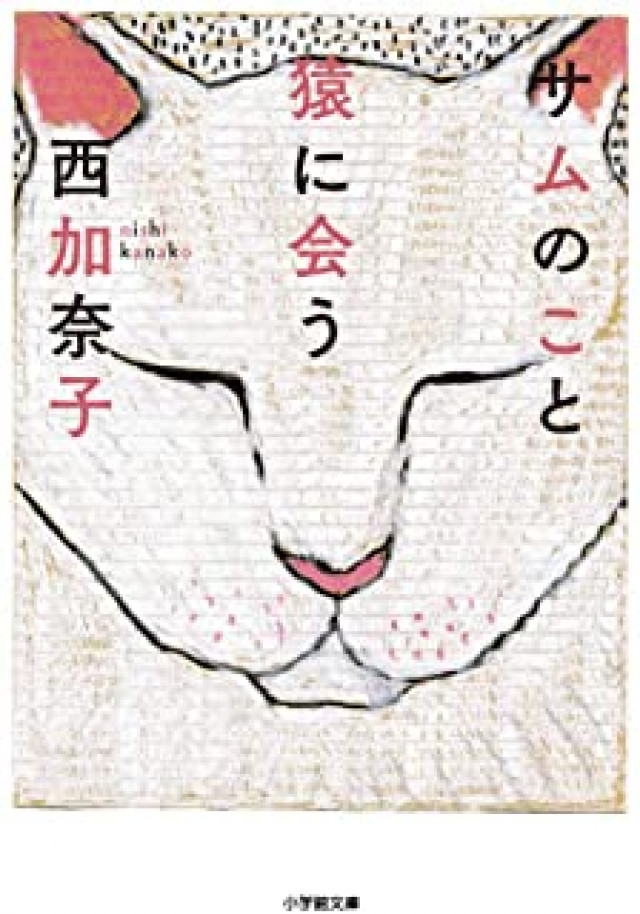 猿に会う