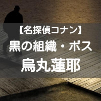 ネタバレ 映画 名探偵コナン 純黒の悪夢 ナイトメア あらすじ キャラ紹介 史上最高のアクションを見逃すな Ciatr シアター