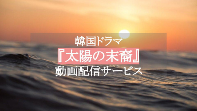 太陽の末裔 配信 サムネイル