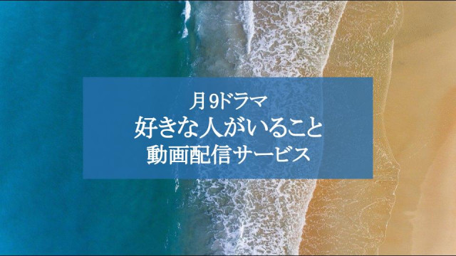 ドラマ 好きな人がいること のフル動画を1話から無料視聴できる配信サービス Pandoraより確実に Ciatr シアター