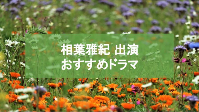 相葉雅紀出演 おすすめドラマ記事