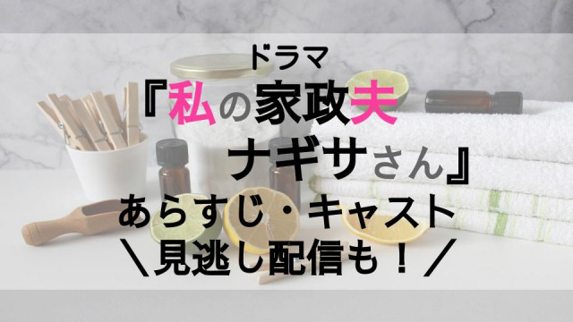『私の家政夫ナギサさん』サムネ