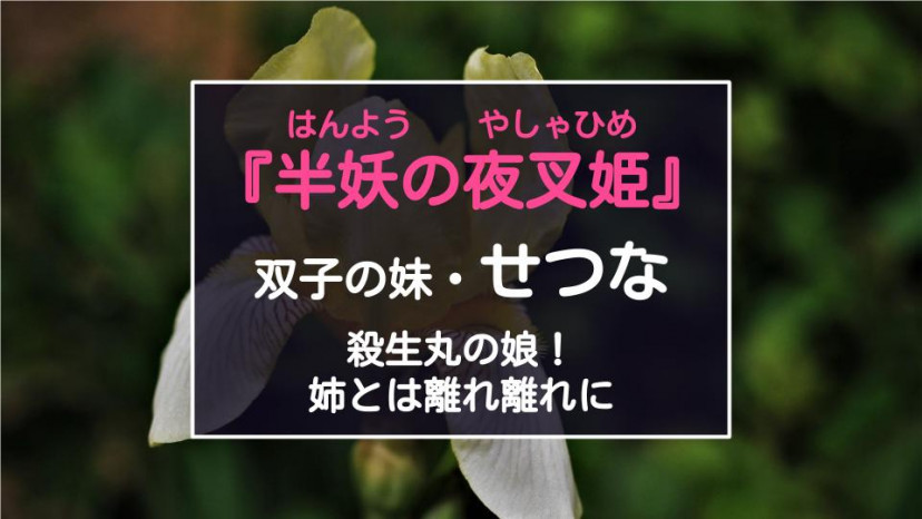 『半妖の夜叉姫』せつな 編集記事 サムネイル画像
