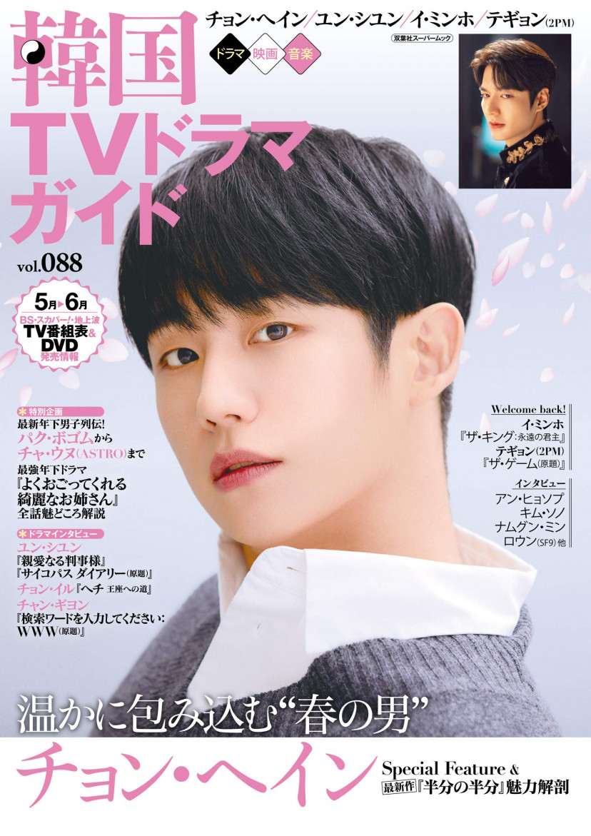 チョン・ヘイン、韓国TVドラマガイド