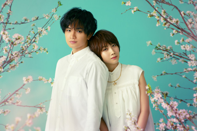 『桜のような僕の恋人』
