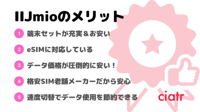 格安SIM、IIJmio、デメリット
