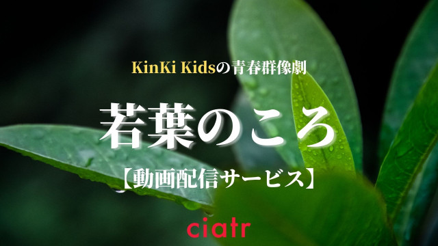 若葉のころ 全巻セット KinKi Kids 主演ドラマ VHS 安から