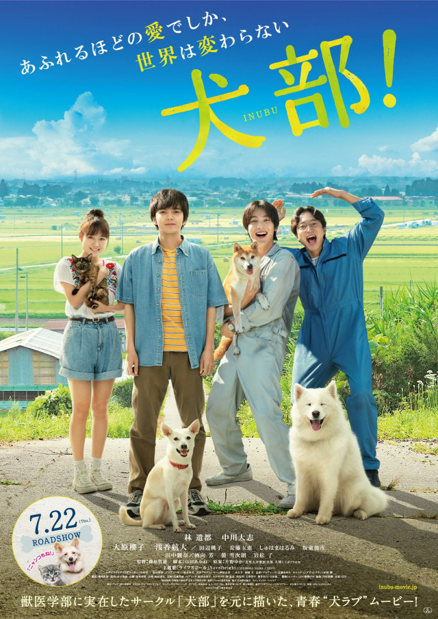 『犬部!』