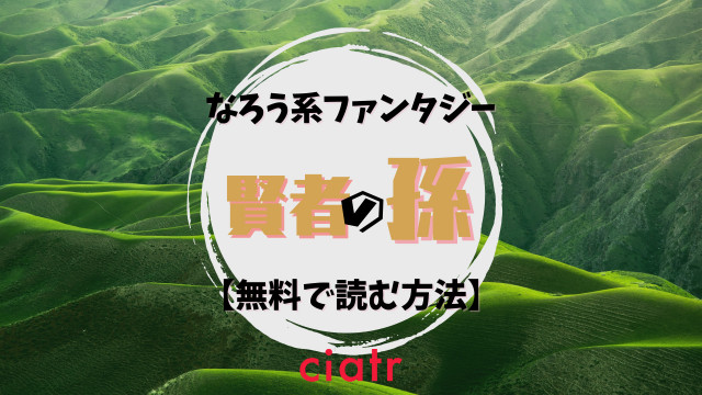 賢者の孫