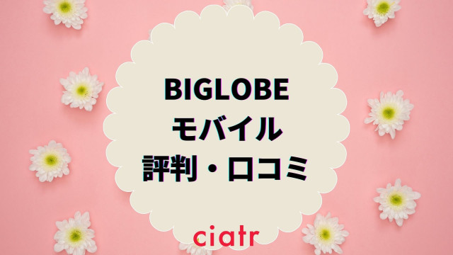 BIGLOBEモバイル 評判