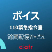 新春sp放送 ドラマ 相棒 シリーズのフル動画が無料視聴できる配信サービスまとめ Season1 19 Ciatr シアター