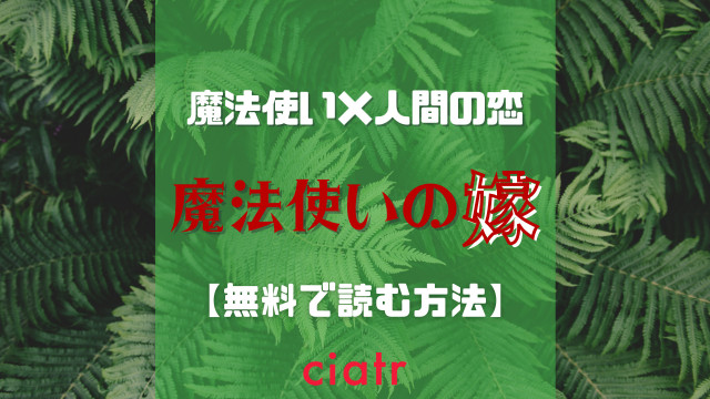 魔法使いの嫁