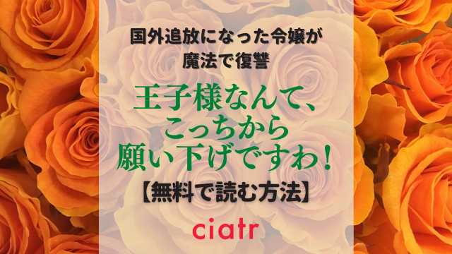 王子様なんて、こっちから願い下げですわ!
