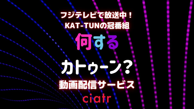 何するカトゥーン 動画配信