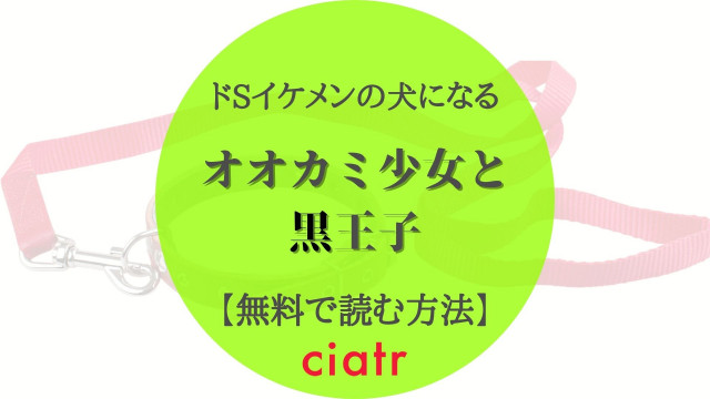 オオカミ少女と黒王子