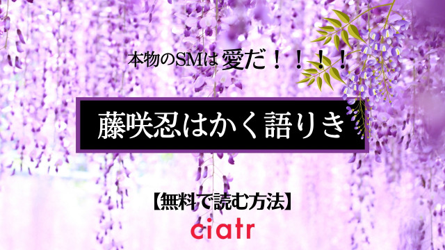 藤咲忍はかく語りき