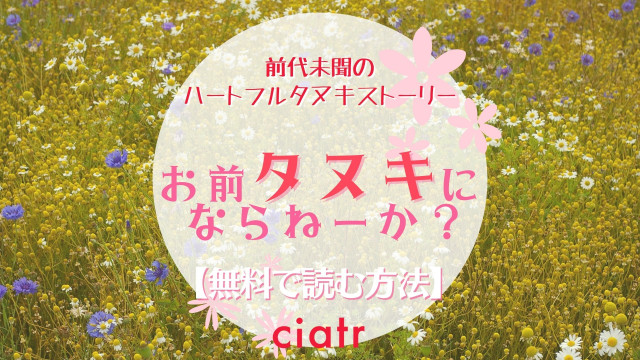 お前、タヌキにならねーか