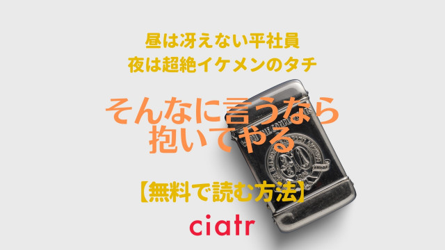 そんなに言うなら抱いてやる