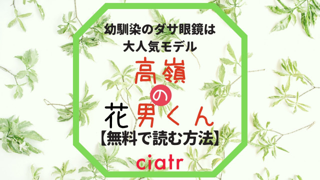 高嶺の花男くん
