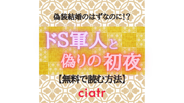 ドS軍人と偽りの初夜