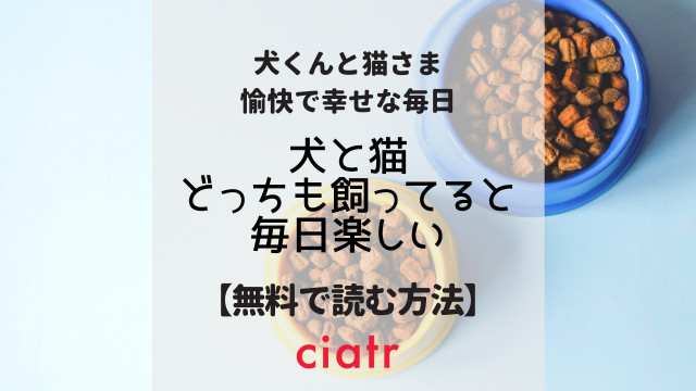 犬と猫どっちも飼ってると毎日楽しい