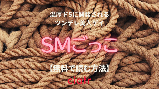 SMごっこ
