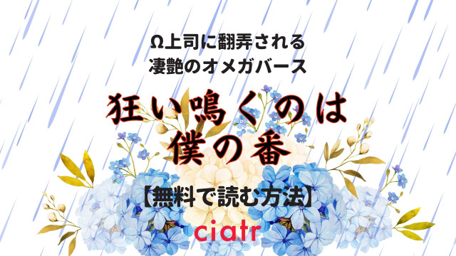 狂い鳴くのは僕の番